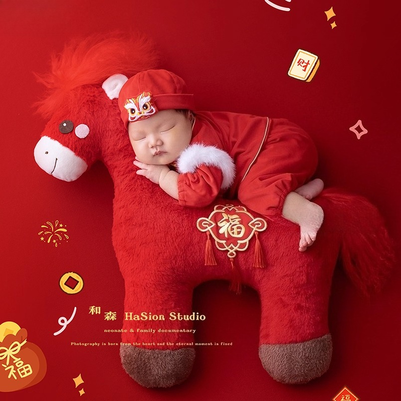 Accesorios de fotografía recié - Photography Year reseña y precio